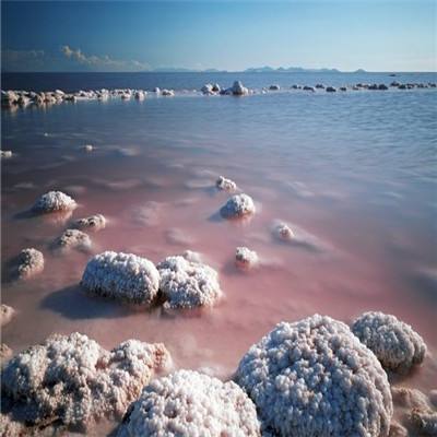 星海霸业手游果盘版下载